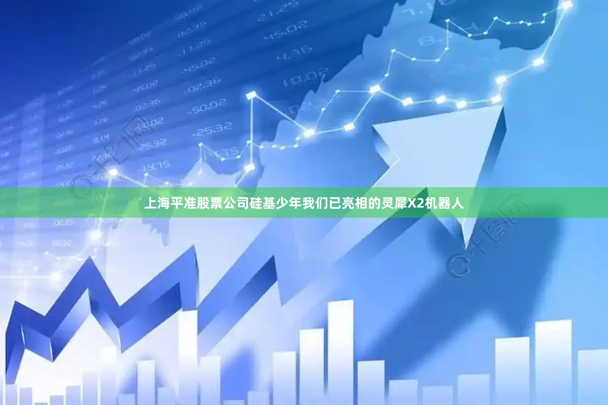 上海平准股票公司　　硅基少年　　我们已亮相的灵犀X2机器人
