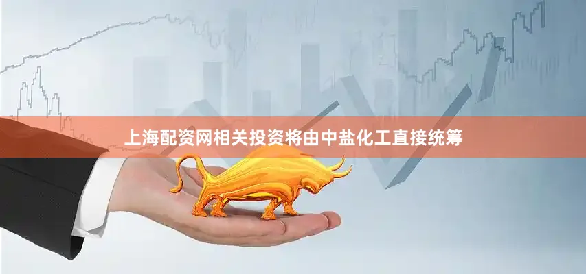 上海配资网相关投资将由中盐化工直接统筹