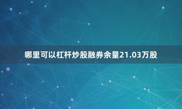 哪里可以杠杆炒股融券余量21.03万股