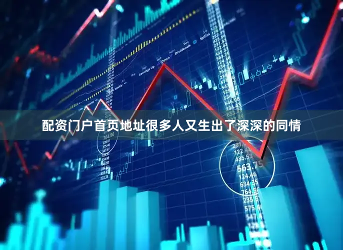 配资门户首页地址很多人又生出了深深的同情